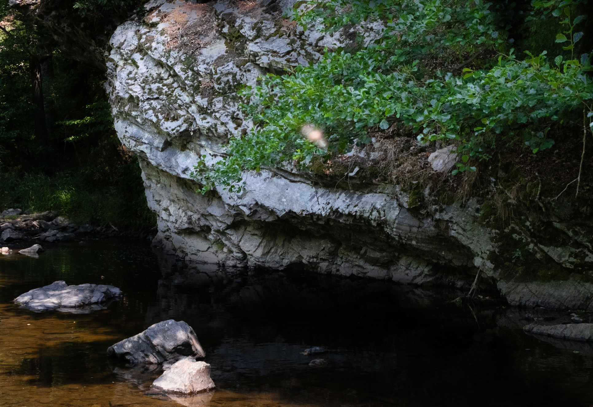 Údolí řeky Bobrovky