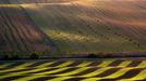 Moravské Slovácko. Ukázky z fotografické knihy Radka Severy a básnířky Ivety Gajda-Raponi