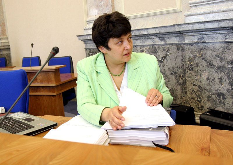 Džamila Stehlíková, ministryně vlády České republiky pro lidská práva a národnostní menšiny