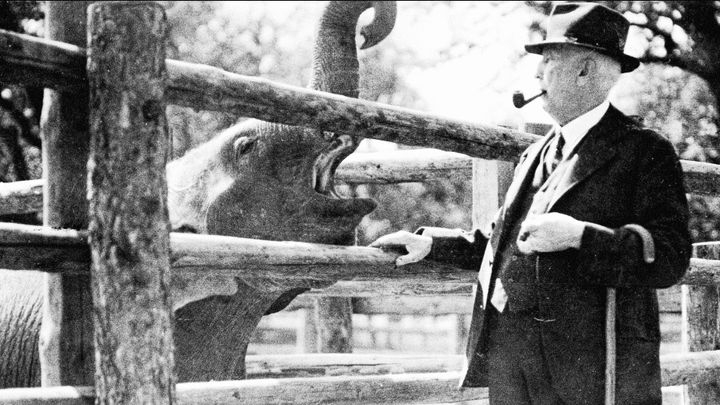 Obrazem: Pražská zoo slaví 90 let, od snu nadšeného profesora až k Údolí slonů; Zdroj foto: Archiv Zoo Praha / @milujemeprahu / Youtube.com