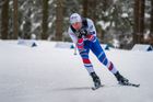 Další body pro Nováka. Český běžec na lyžích bodoval ve sprintu v Drážďanech