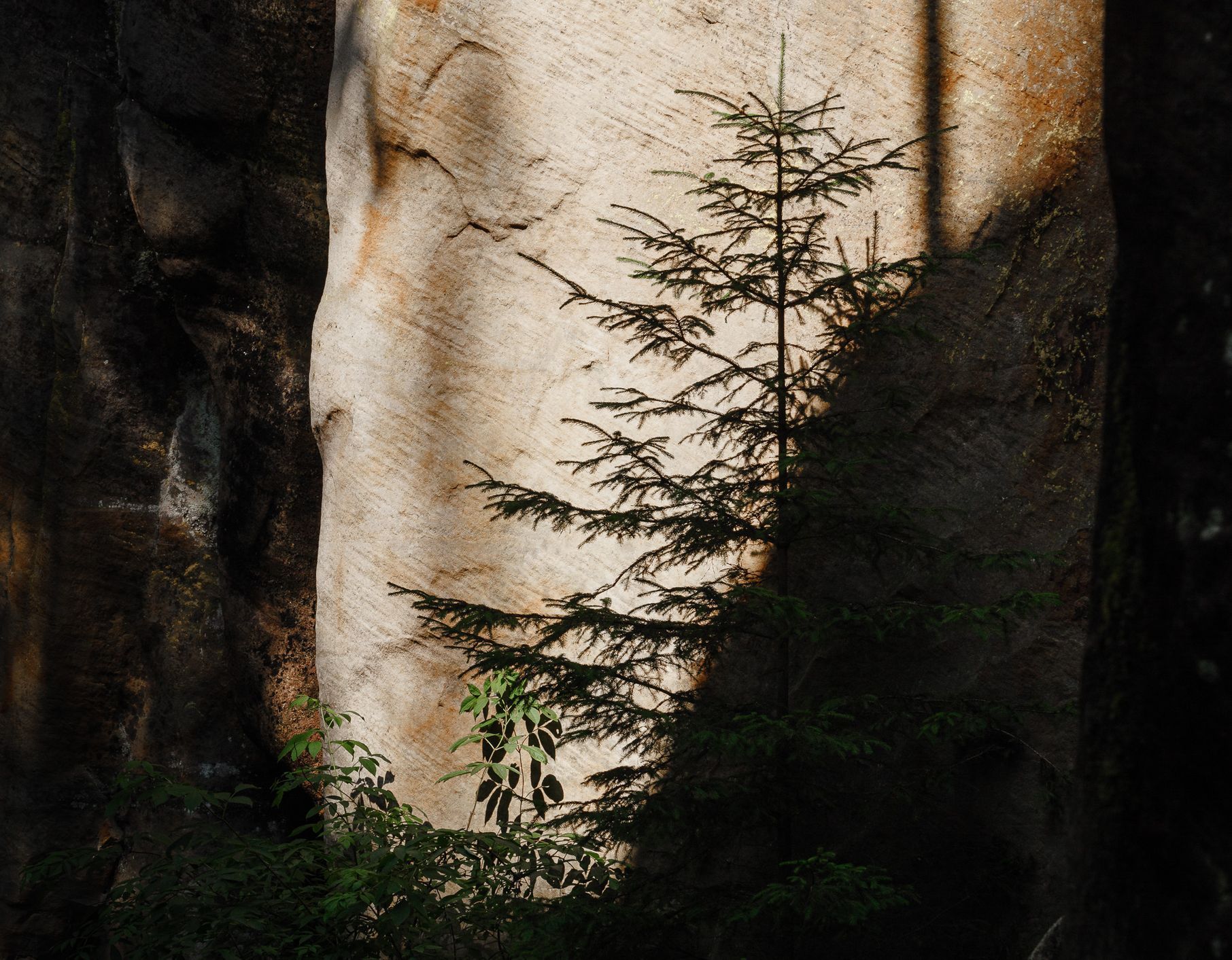 Tomáš Vocelka - Adršpach, léto 2020