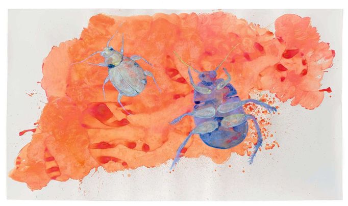 Erika Bornová, Zlatohlávek 2023, akryl a akvarelové perleťové barvy na papíře,124 × 220 cm.