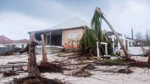 Vítr rval stromy i s kořeny, ostrov spálila slaná voda, líčí Češka řádění hurikánu Irma v Karibiku