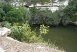 Cenote Sagrado v Chichen Itza. Přírodní posvátná studny, do které byly házeny lidské oběti. Podle posledních zjištění archeologů šlo převážně o mladé muže.
