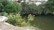 Cenote Sagrado v Chichen Itza. Přírodní posvátná studny, do které byly házeny lidské oběti. Podle posledních zjištění archeologů šlo převážně o mladé muže.