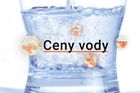 Cenová mapa vody v Česku: Kde za ni zaplatíte nejméně a kde nejvíce?