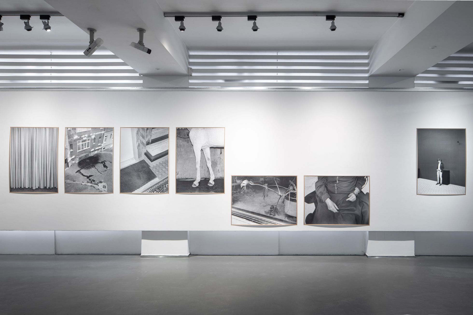 Věštění z noční oblohy částečně zakryté mraky