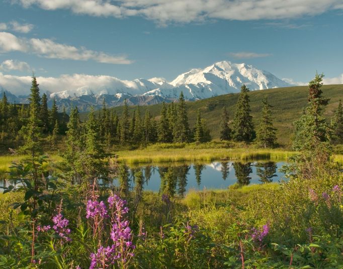 Národní park Denali