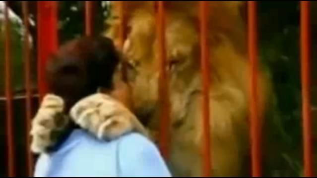 Žena se líbá se lvem