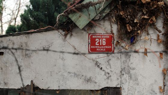 Foto: Pražské kořeny Zdeňka Svěráka. Na Slatinách je pořád divočina