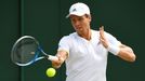 Wimbledon 2017: Tomáš Berdych