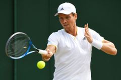 Berdych smázl Ferrera ve třech setech a postoupil na Wimbledonu mezi nejlepších šestnáct