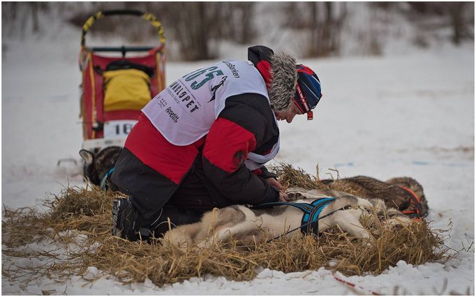 Roman Habásko, mushing