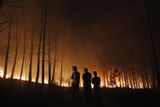 Hořelo na více než deseti místech Portugalska a plameny nebylo zpočátku schopno zlikvidovat 7000 nasazených hasičů...