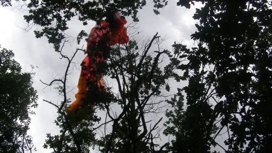 Paraglidista uvízl ve větvích