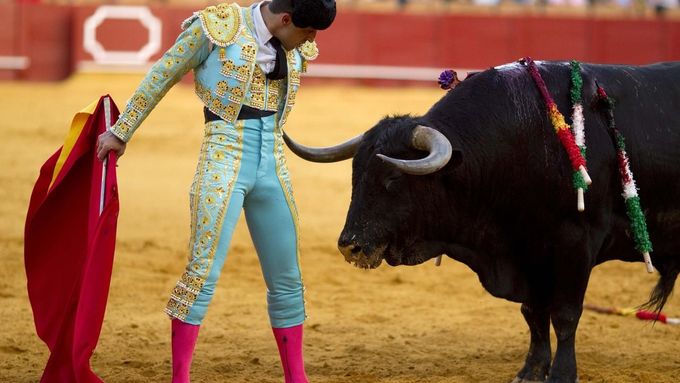Spanish matador Javier Castano stands next to a bull during a bullfight in The Maestranza bullring in Seville