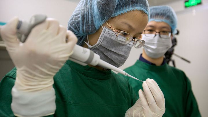 Metoda, která předejde dědičné nemoci i rakovině. Úprava genů může být jednou rutina