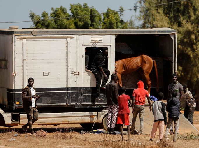 Zohra Bensemraová: Fotopříběh - Mladý senegalský žokej touží po světové slávě