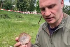 Děsivý nález v Kyjevě mezi domy. Kličko ukázal, čím útočili Rusové, mluví o genocidě