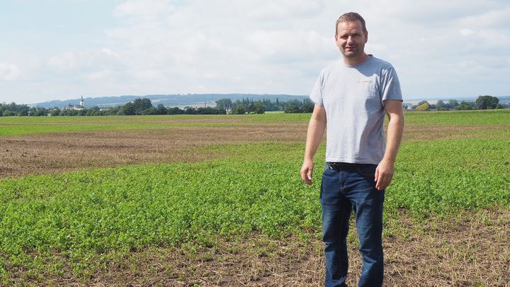 V epicentru kalamity. Hraboši na Hané sežrali úrodu, rozšířili se na zahrady i ulice