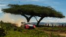 Thierry Neuville v Hyundai na trati Rallye Safari 2025