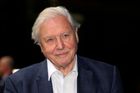 Jak mizí divočina: Sir Attenborough ukazuje, že k úpadku stačil jeden lidský život