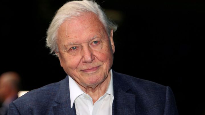 Jak mizí divočina: Sir Attenborough ukazuje, že k úpadku stačil jeden lidský život