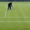 Přípravy na Wimbledon 2013