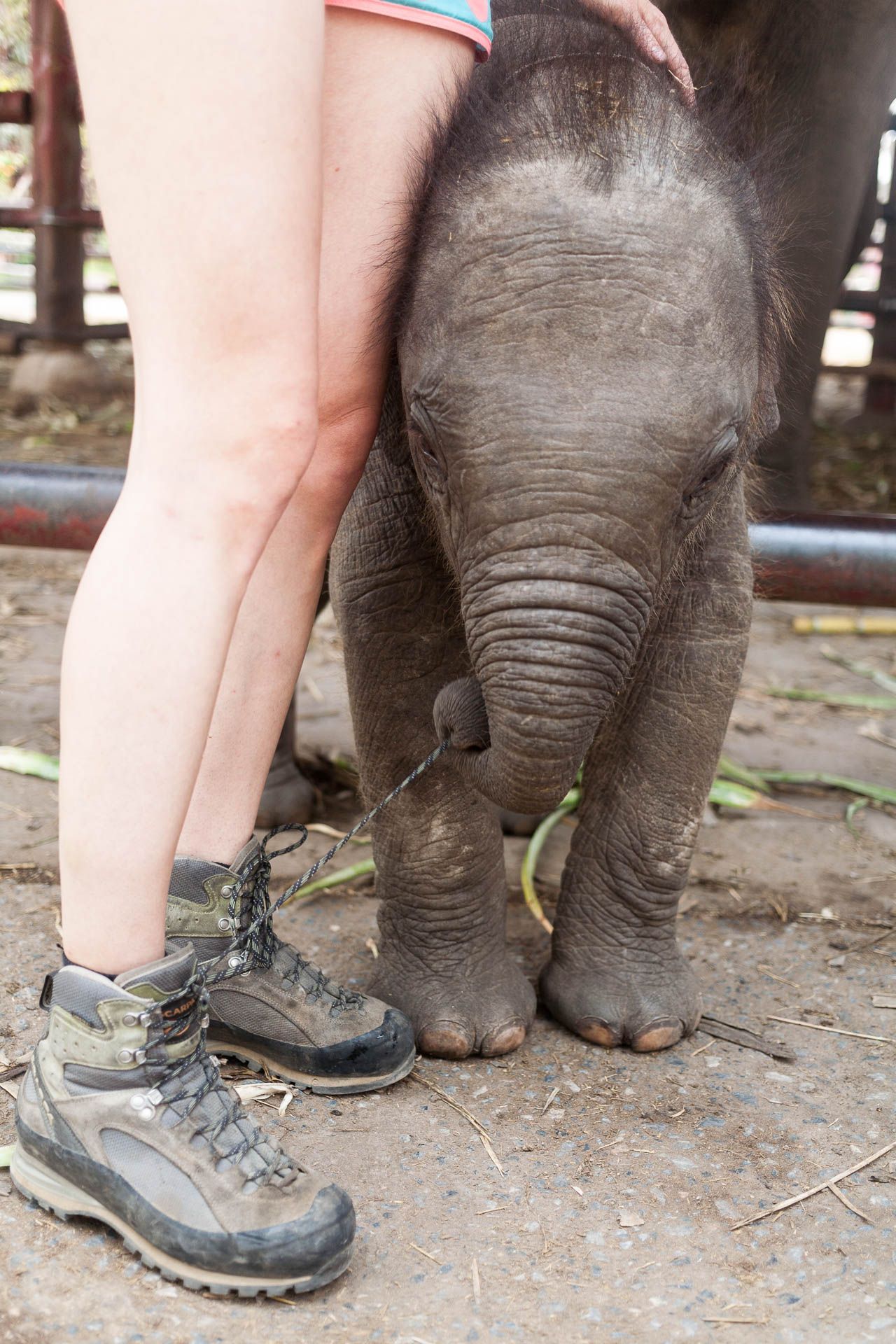 Cestovatelé Marek Vantuch a Ivana Haraslínová