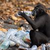 Wildlife Photographer of the Year 2023. Snímky nominované na cenu veřejnosti People Choice Award