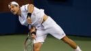 US Open 2015: Jürgen Melzer