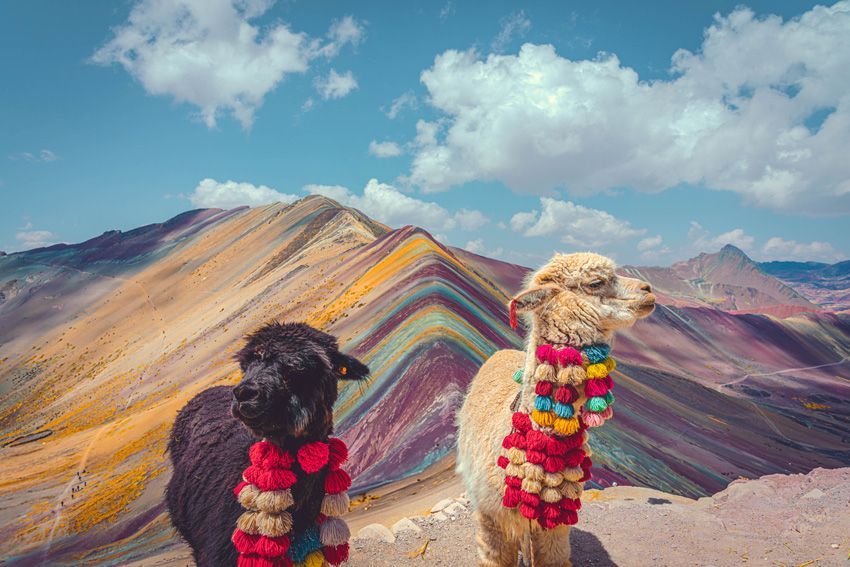 Sony World Photography Awards 2025