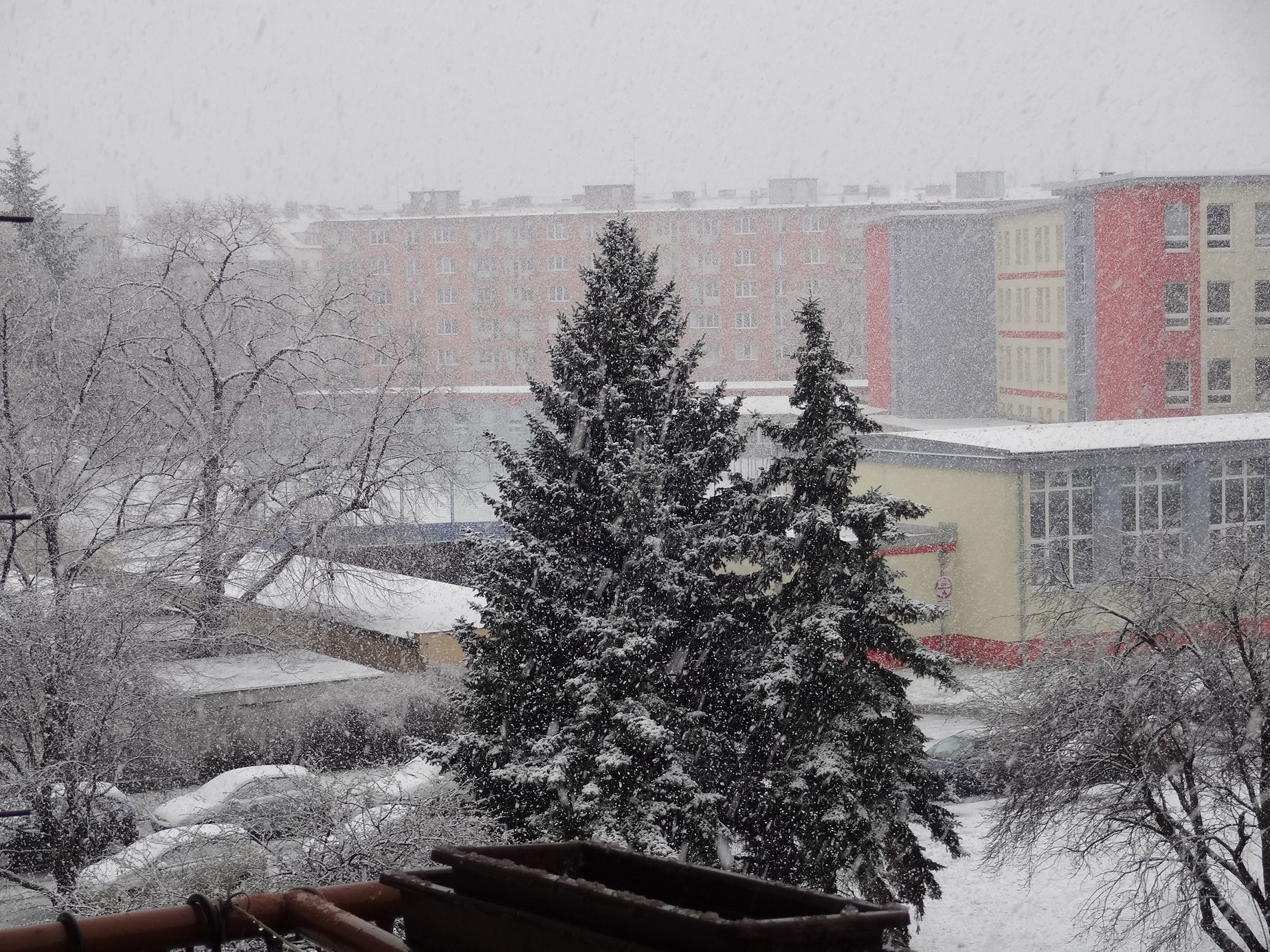 Sněžení 31. 3. 2015