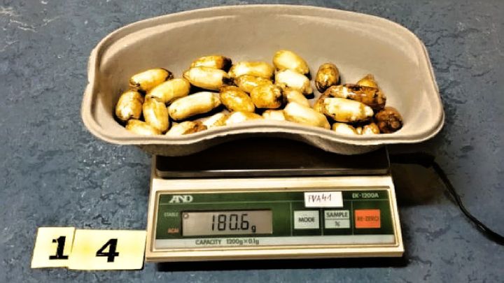 Nigerijec pašoval v žaludku kilogram kokainu, celníci ho chytli v Praze na Florenci