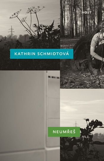 Kathrin Schmidt - Neumřeš