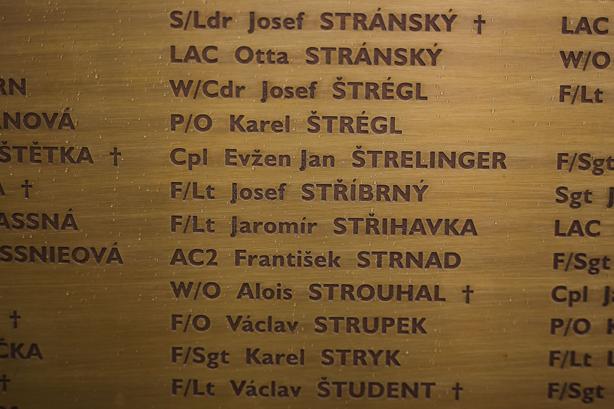 Odhalení pamětní desky Čechoslovákům bojujícím v RAF na památníku na Klárově v Praze