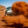 Vaidotas Žala, Mini na Rallye Dakar 2020