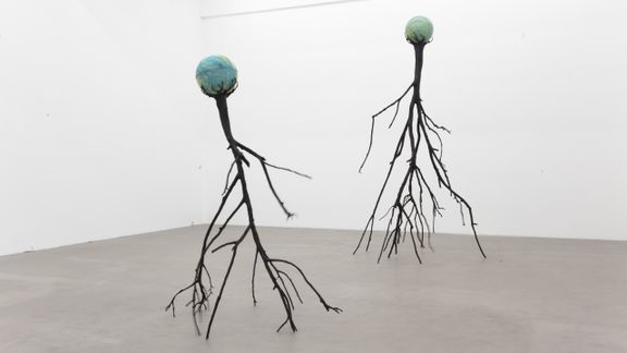 Nervous Trees, 2013