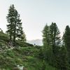 Tyrolské dálkové trasy