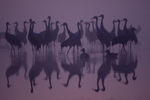 Nejlepší fotografie Reuters