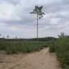 Lesy Bzenec obnova moravská sahara