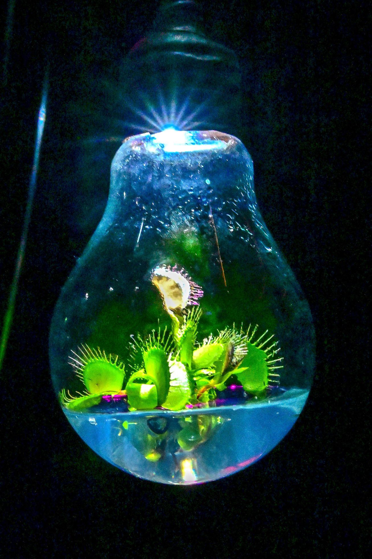 Brno, festival. umění, multimedia, Prototyp