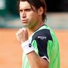 Španělský tenista David Ferrer na French Open 2013