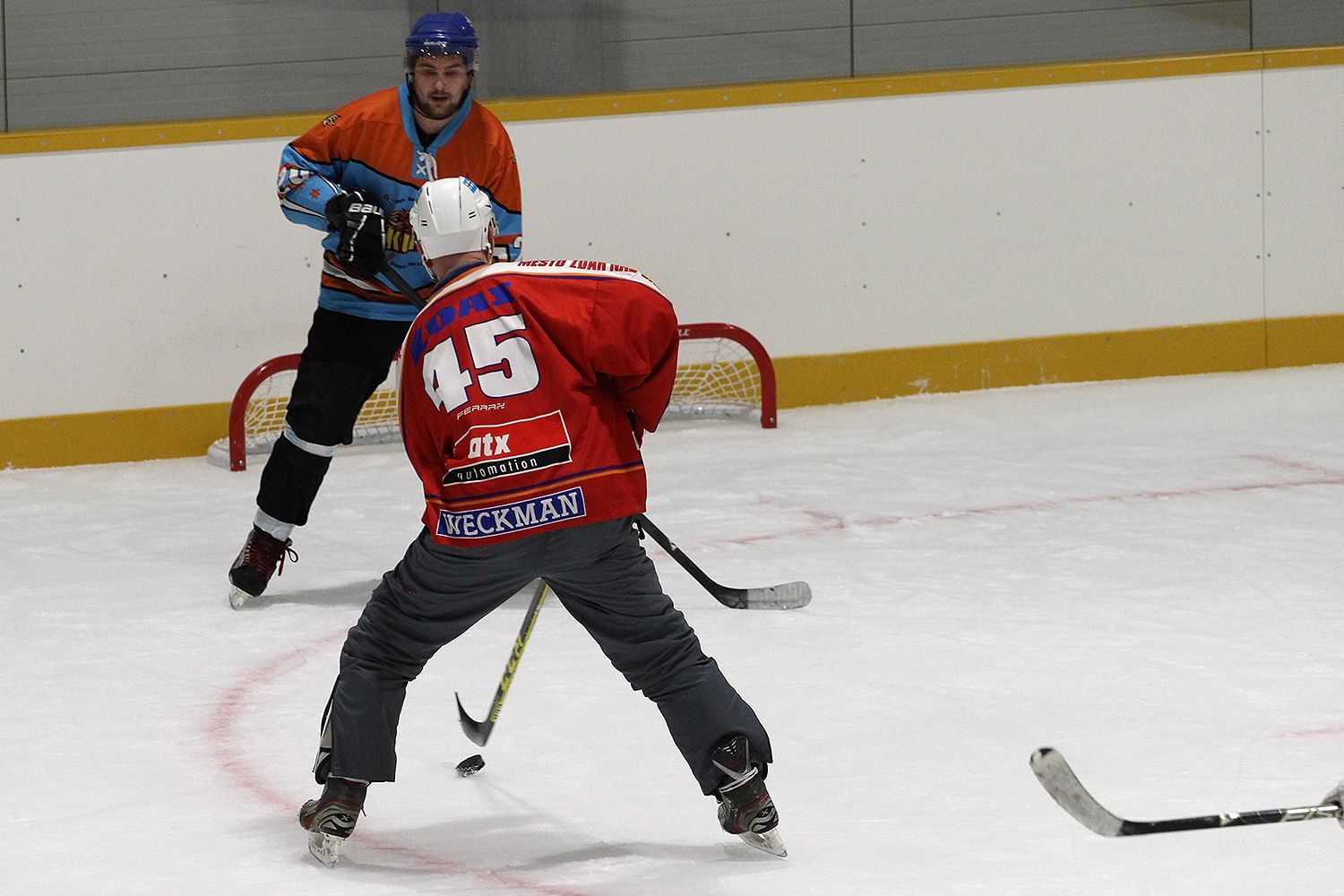 Mistrovství ČR a SR v rybníkovém hokeji