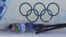 Chemmy Alcott byla jedna z prvních, která sjezd nedokončila