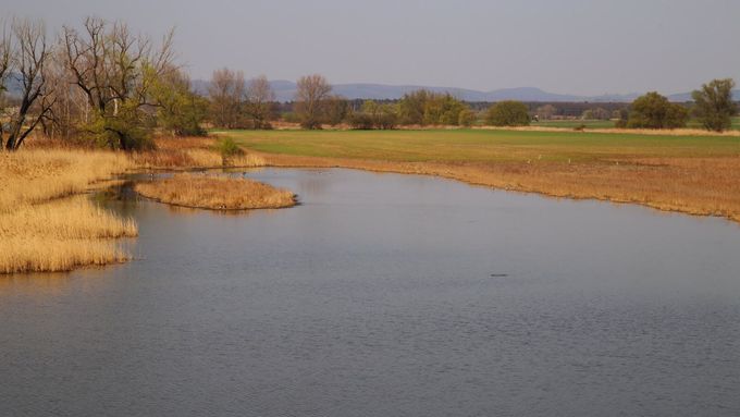 Jedna z vodních ploch v nově vznikajícím Ptačím parku Kosteliska