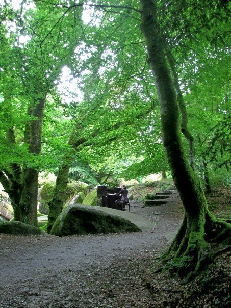 S piánem po Evropě