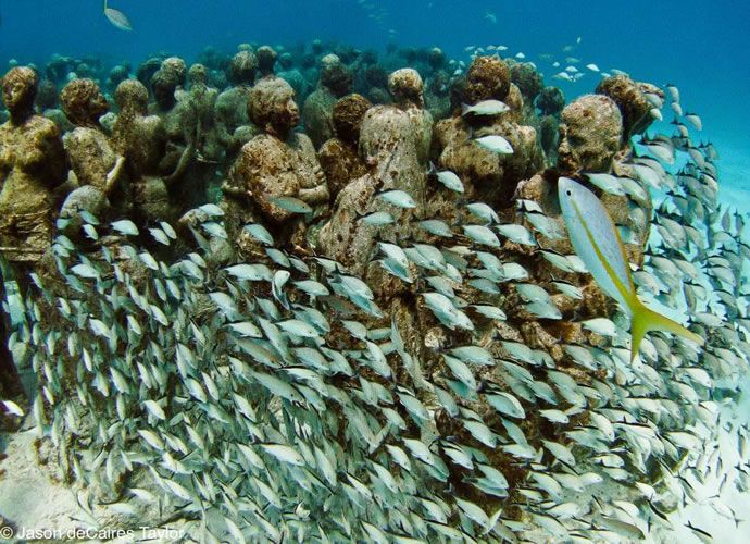 Jason de Caires Taylor - Tichá evoluce