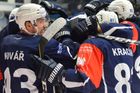 Čtvrtfinále hokejové Ligy mistrů 2018/19: Radost hokejistů Plzně v zápase proti švédské Skelleftei
